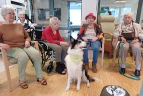 Hundetherapie_2