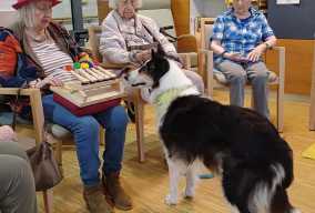 Hundetherapie_1